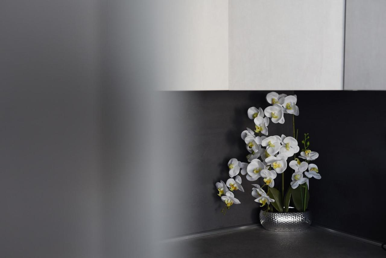 Apartman Niko Zadar Exteriör bild